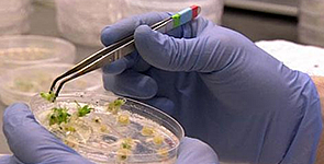 ResearchFields